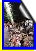 Blumenmarkt in Beziers