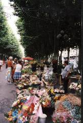 Blumenmarkt