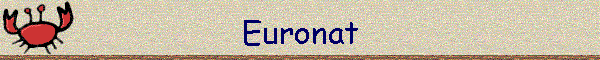 Banner Helge Ebling