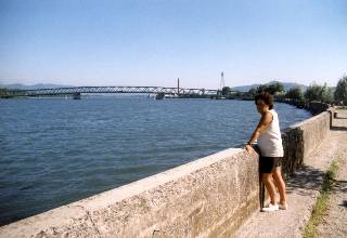 Am Ufer der Rhne